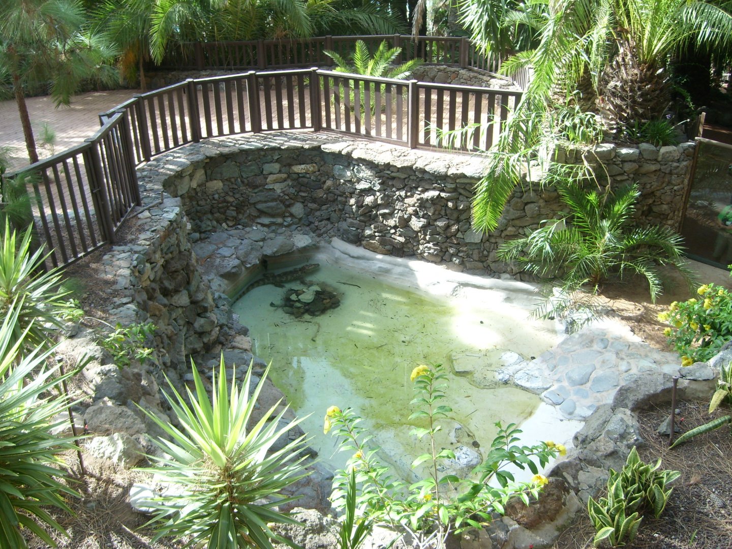 Crocodilian Enclosure