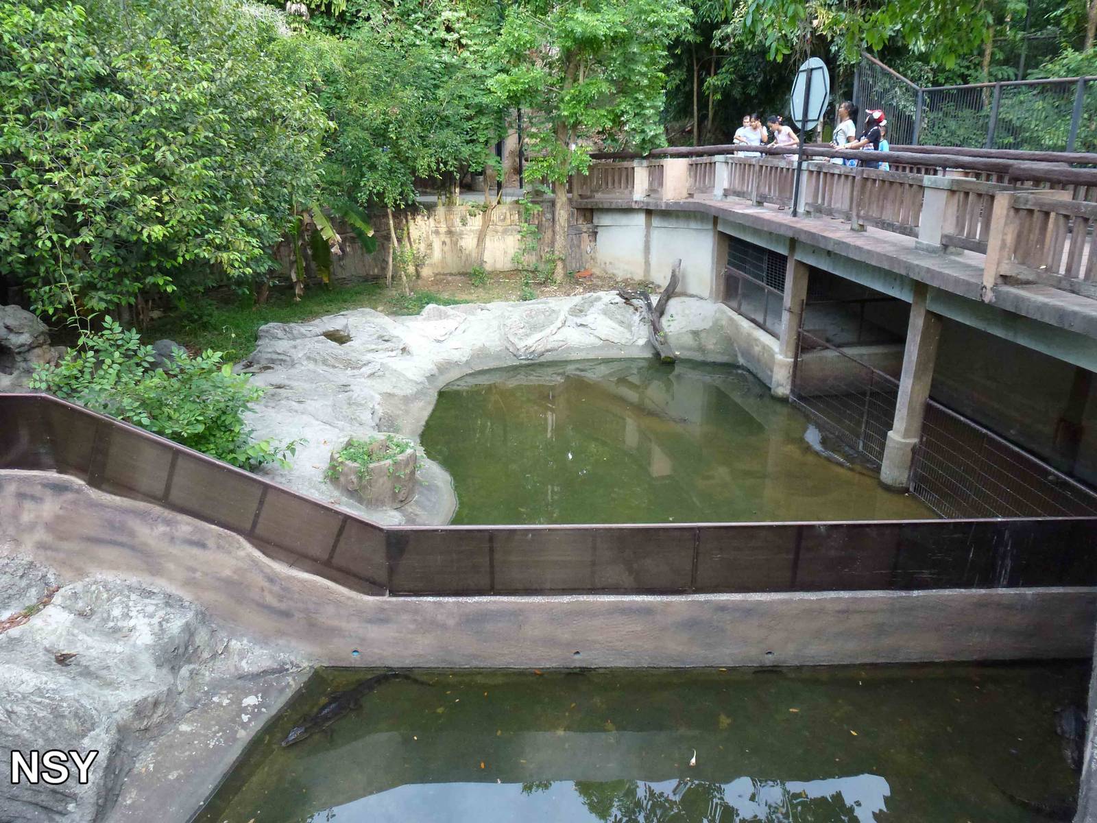 Crocodilian pools, June 2013.