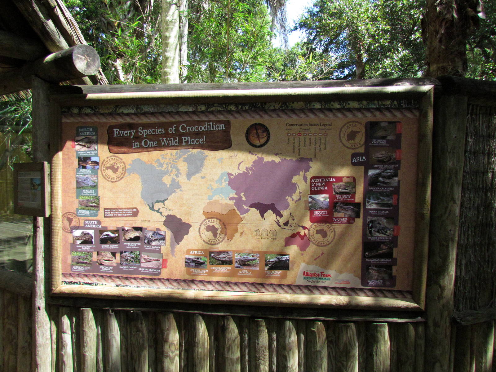 Crocodilians of the World