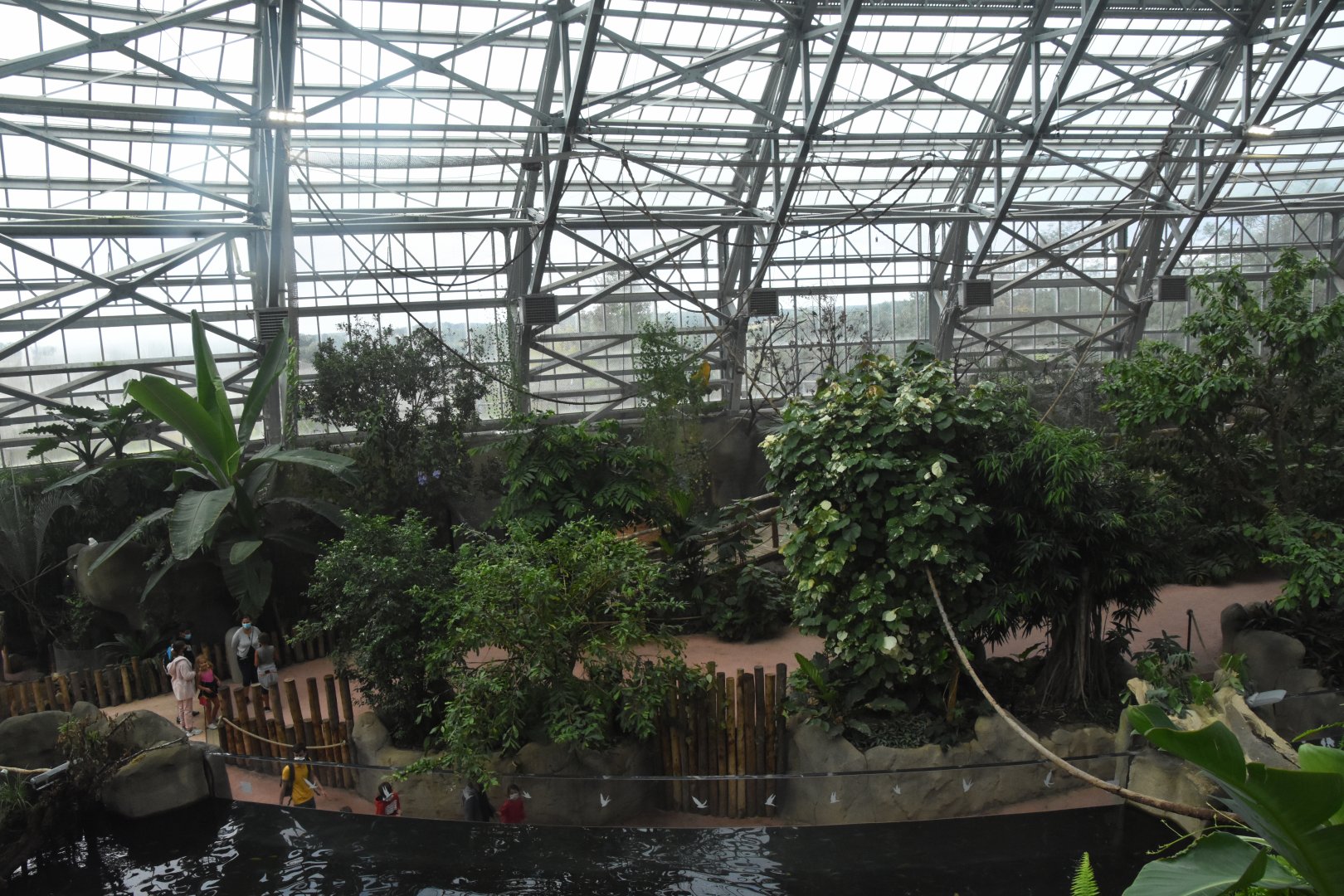 Cross-viewing in the dome