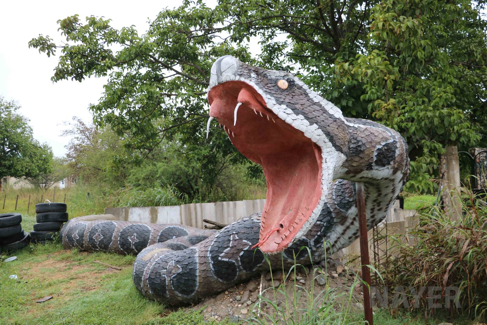 Crossed lancehead viper giant model, Serpentario Machaqway - April 2016.