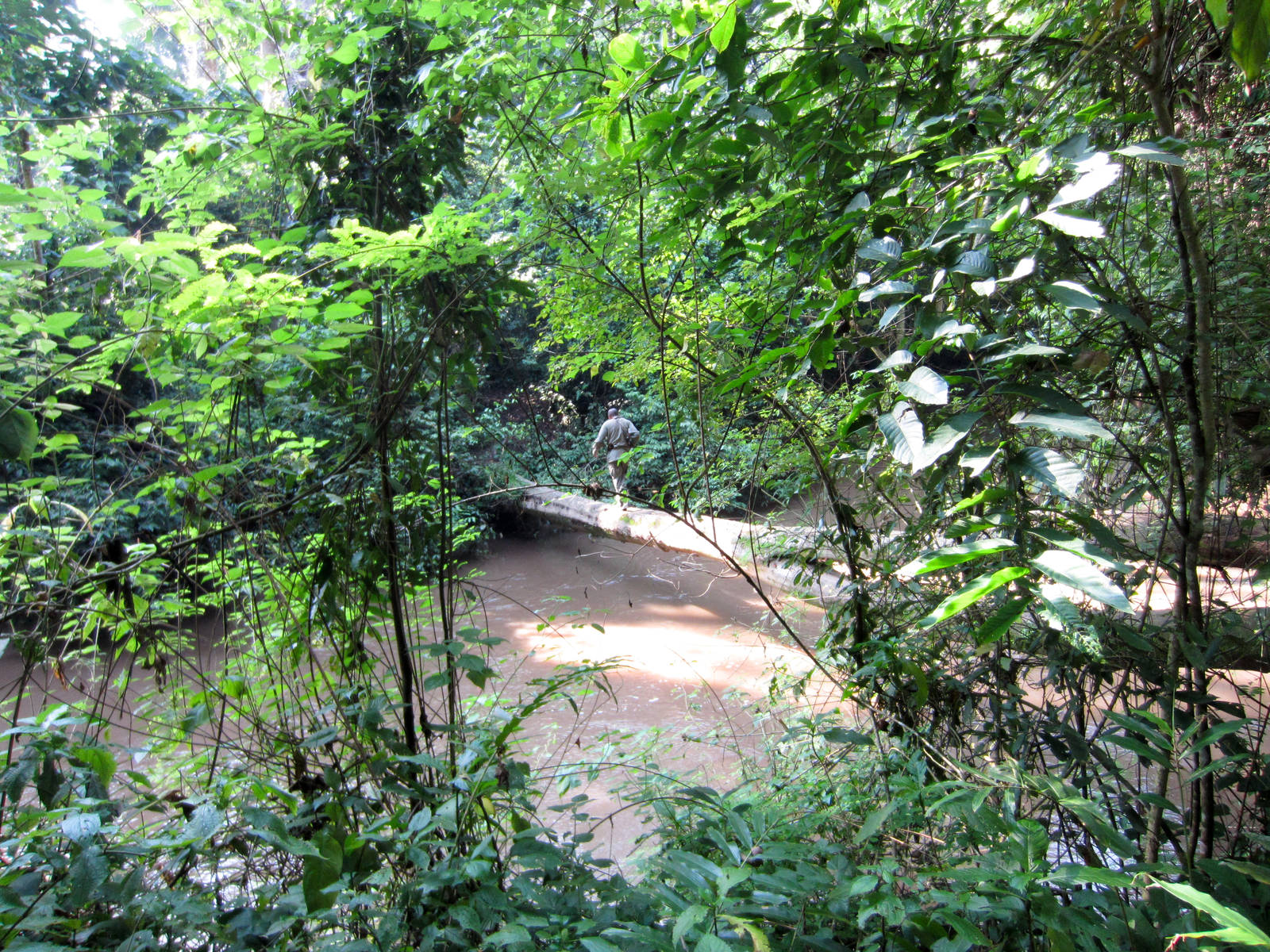 Crossing the river pt 1