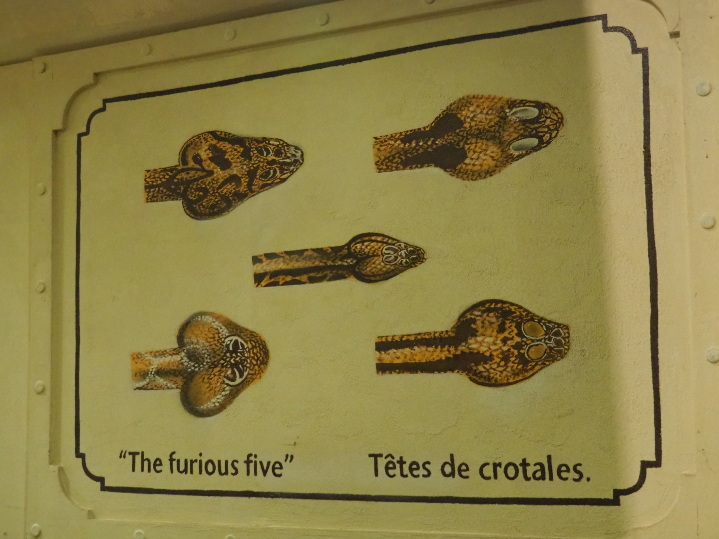 Crotalus mural in the Mersus Emergo, 2020-09-02