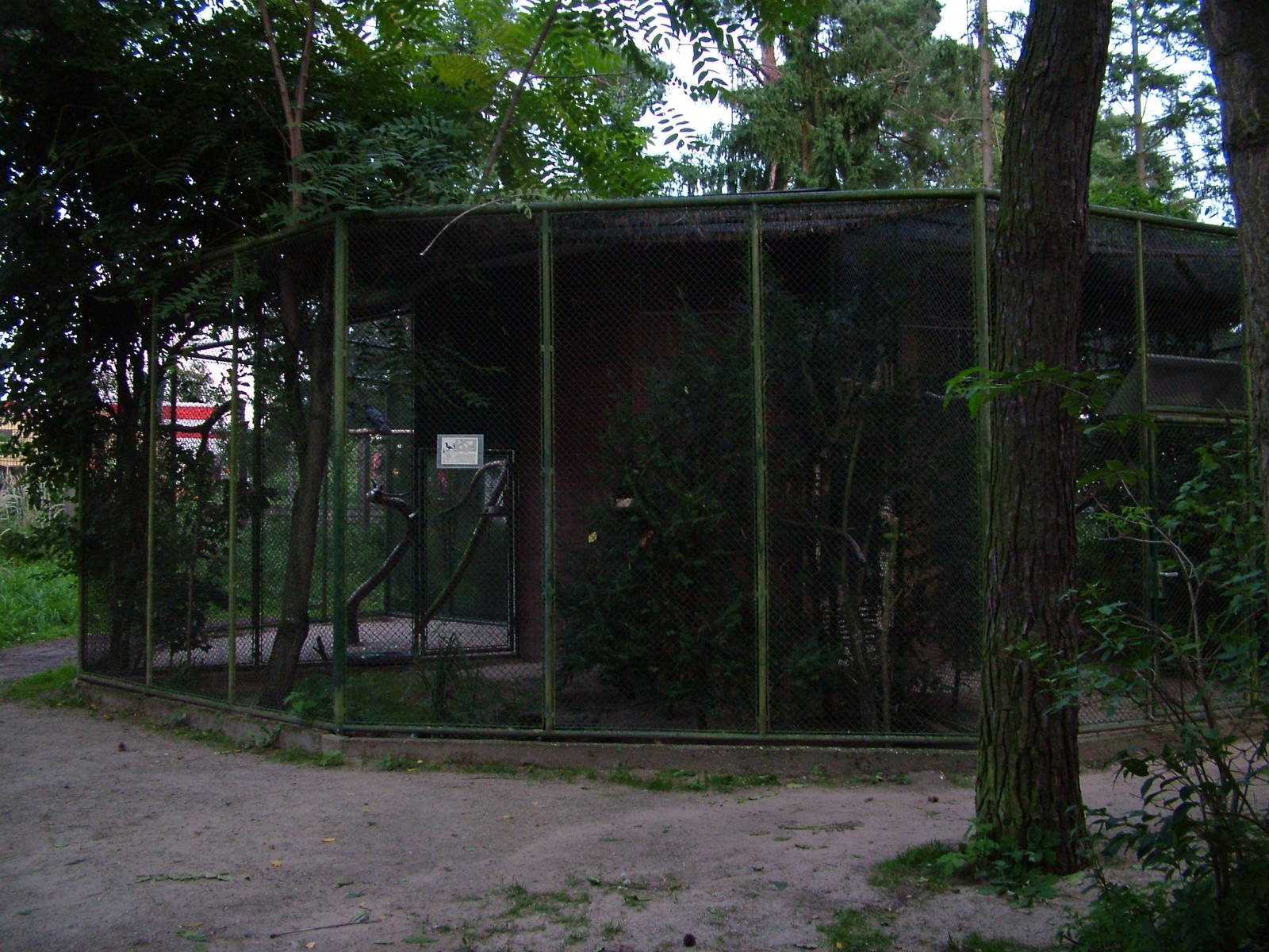 Crow Aviaries at Viernheim Bird Park, 06/09/10