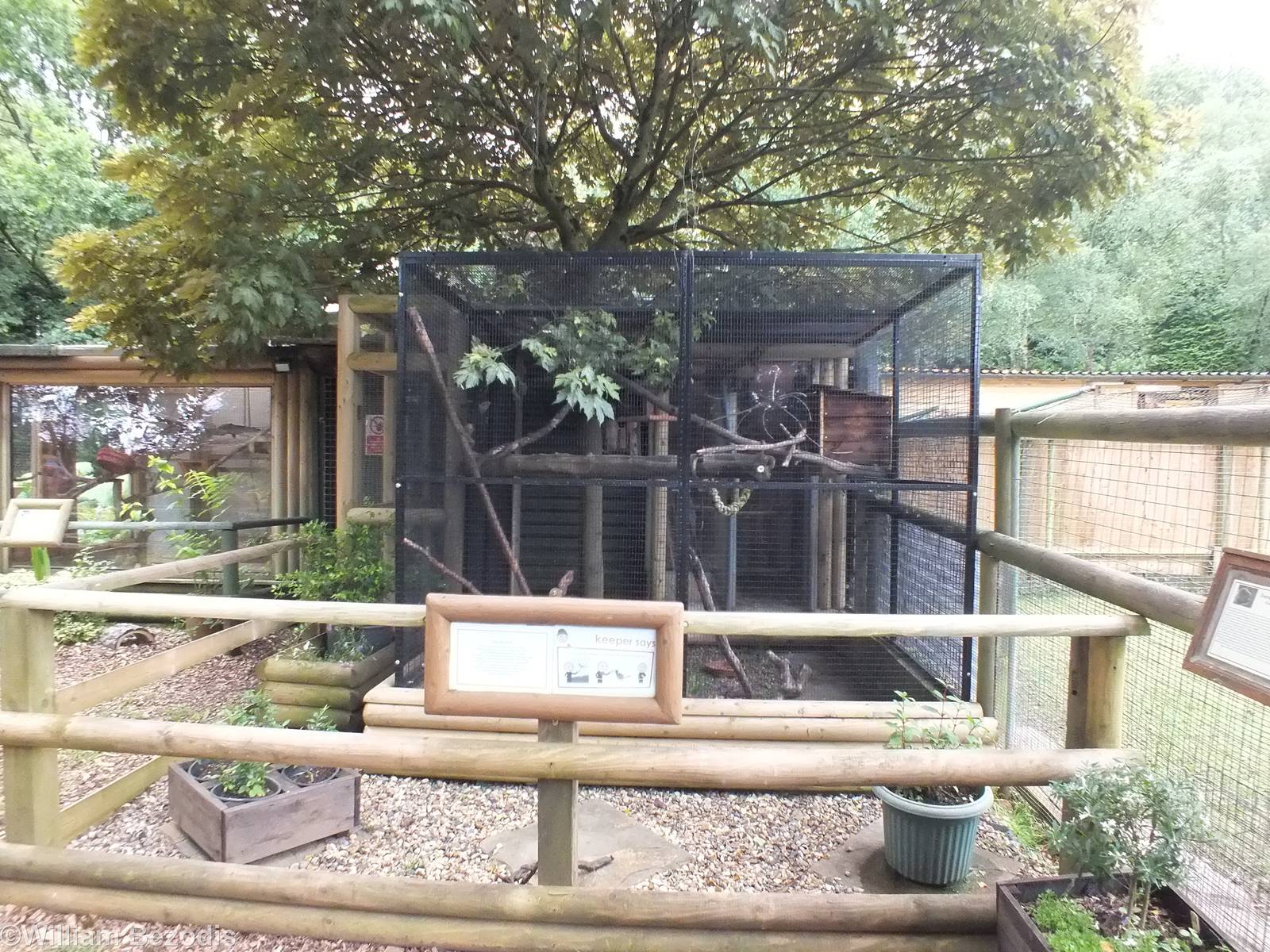 Crow Enclosure with Small Primate Enclosures on the left