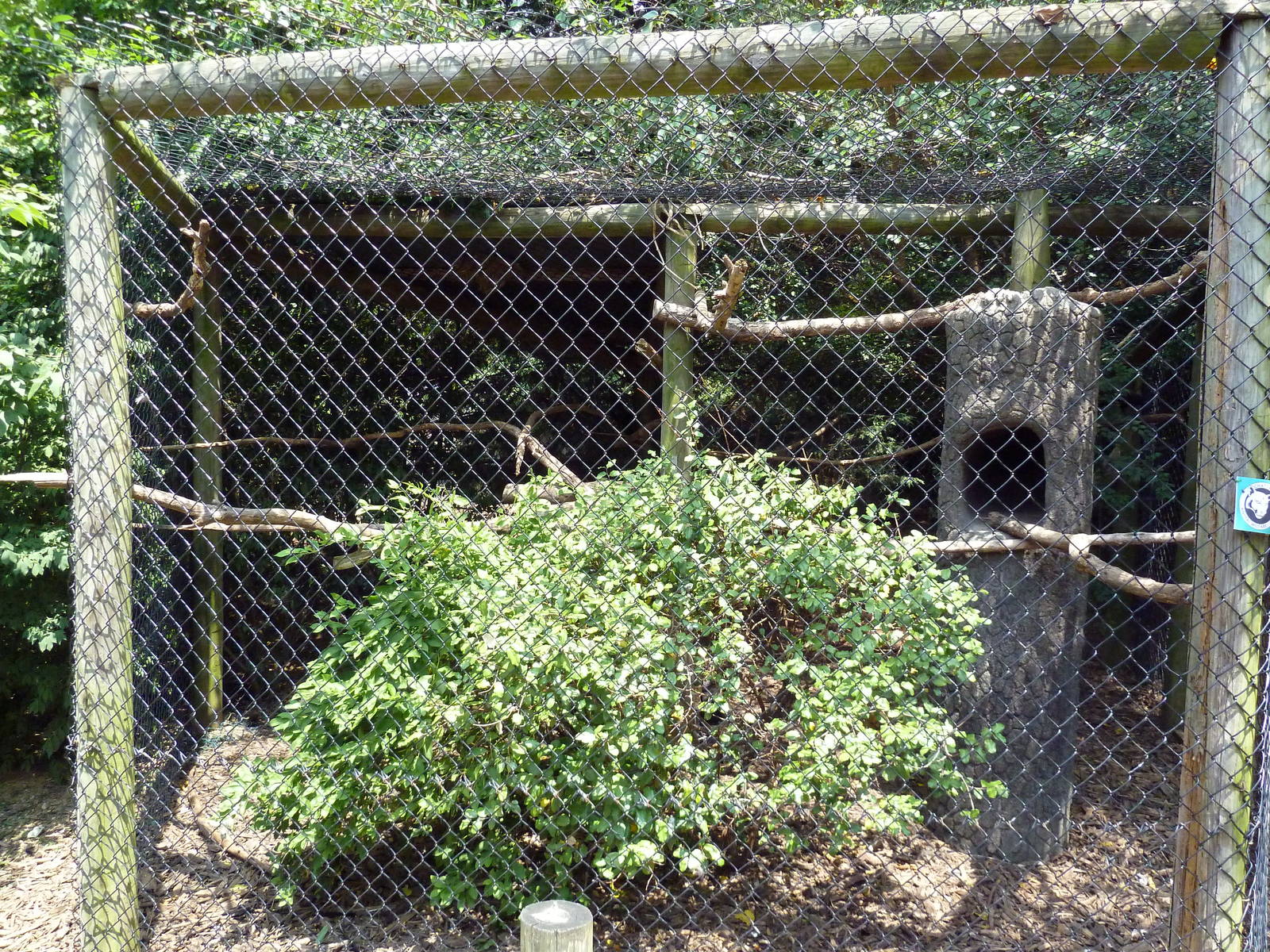 Crow Exhibit