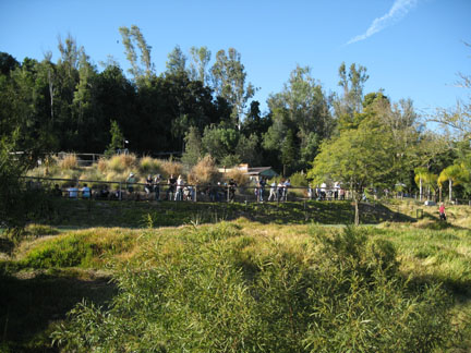 crowd for cheetah run