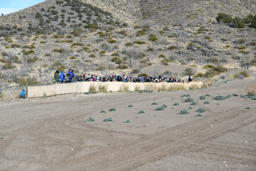 crowd ready to watch cheetah run
