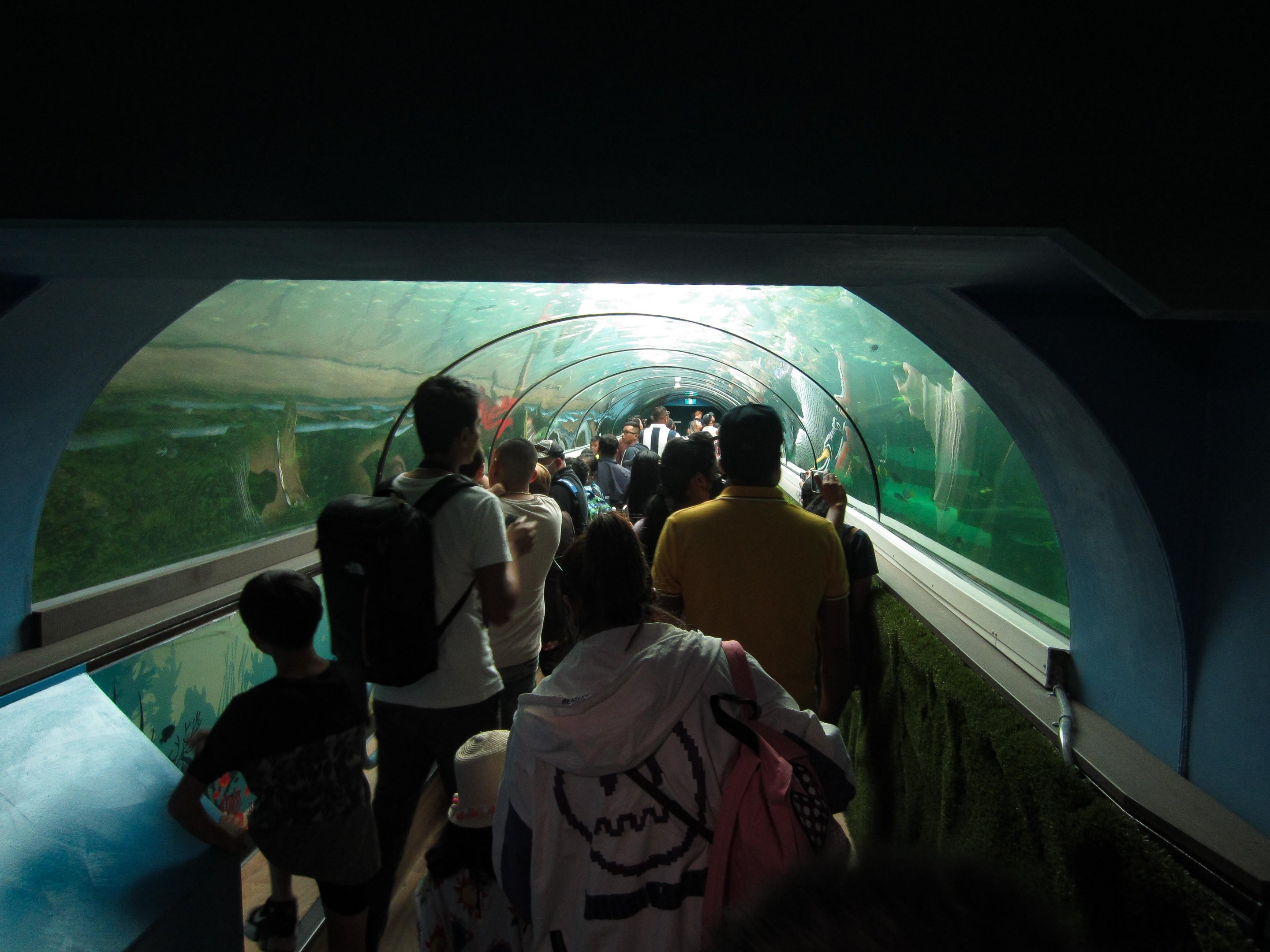 Crowded Tunnel