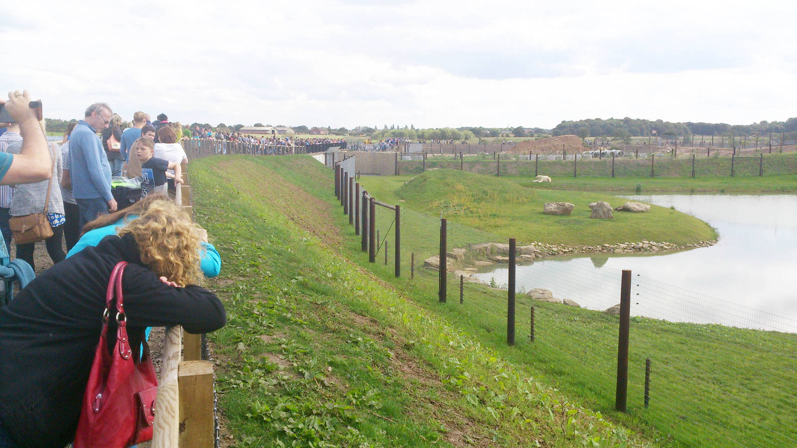 Crowds at polar bar enclosure
