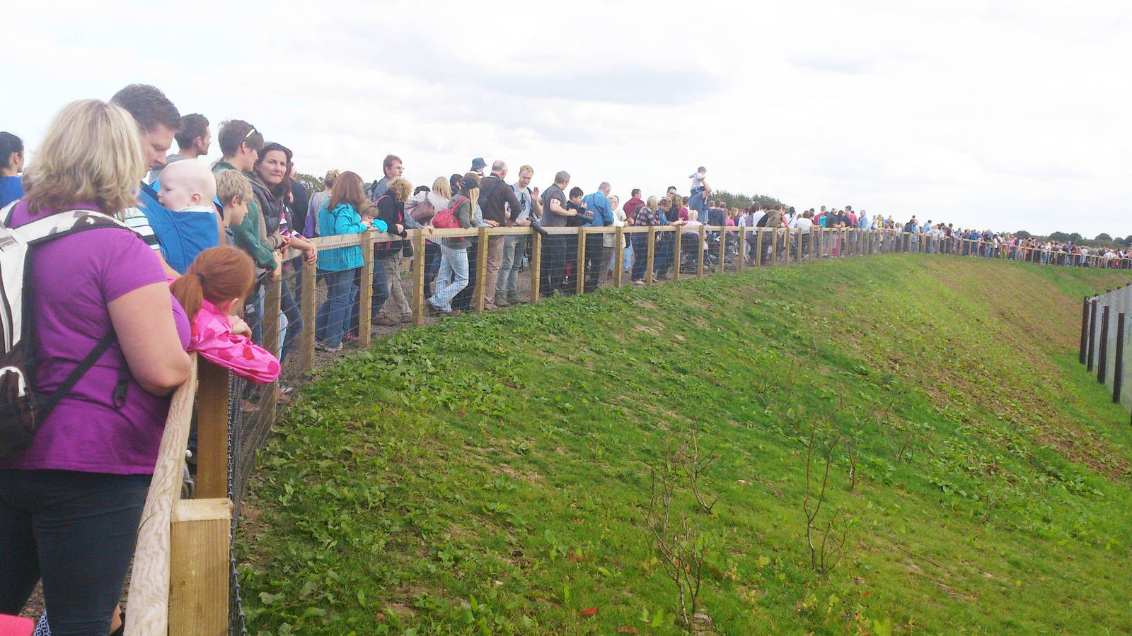 Crowds at polar bar enclosure