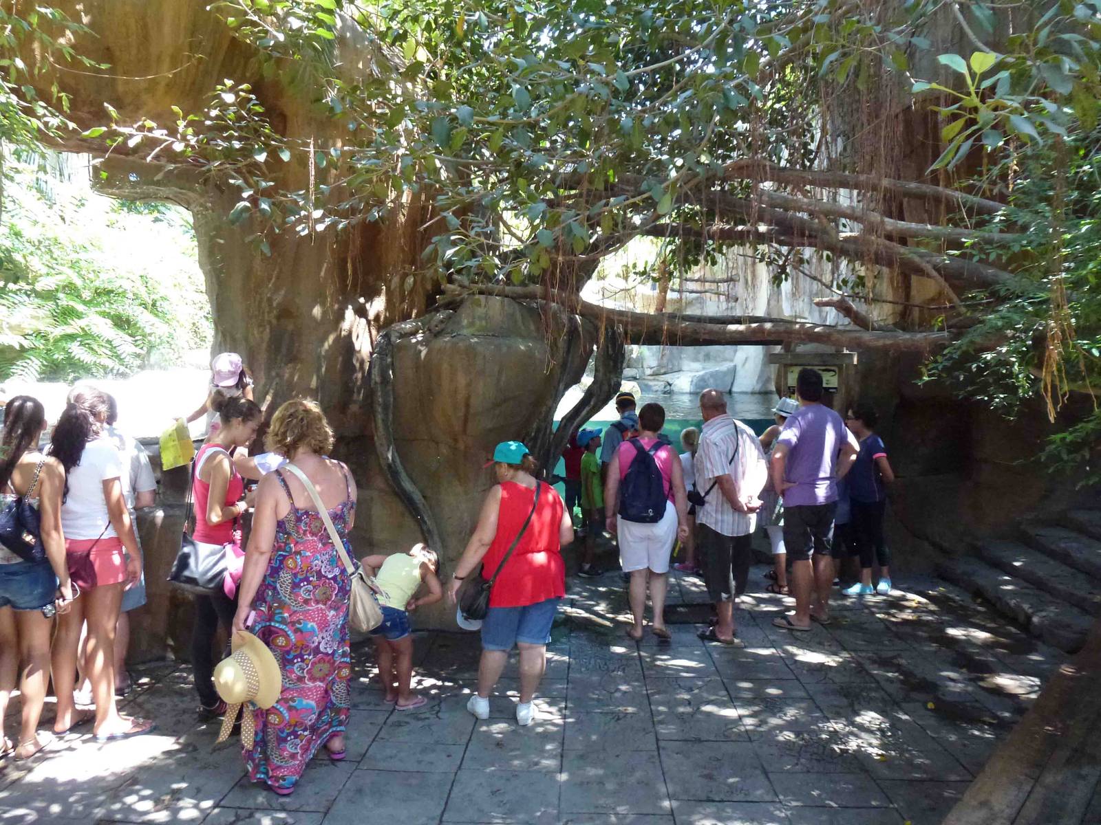 Crowds for false gharials, July 2013.