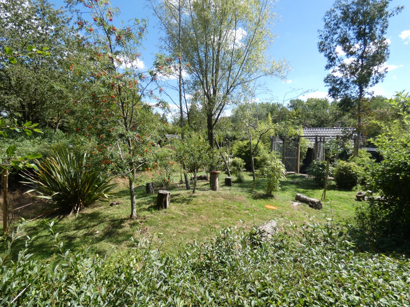 Crowned Crane and Kirk's Dik-Dik enclosure