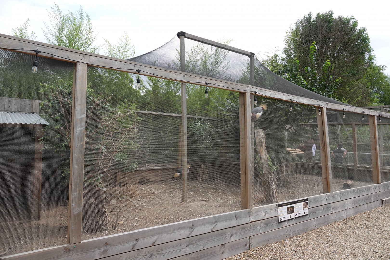 Crowned crane and parma wallaby enclosure