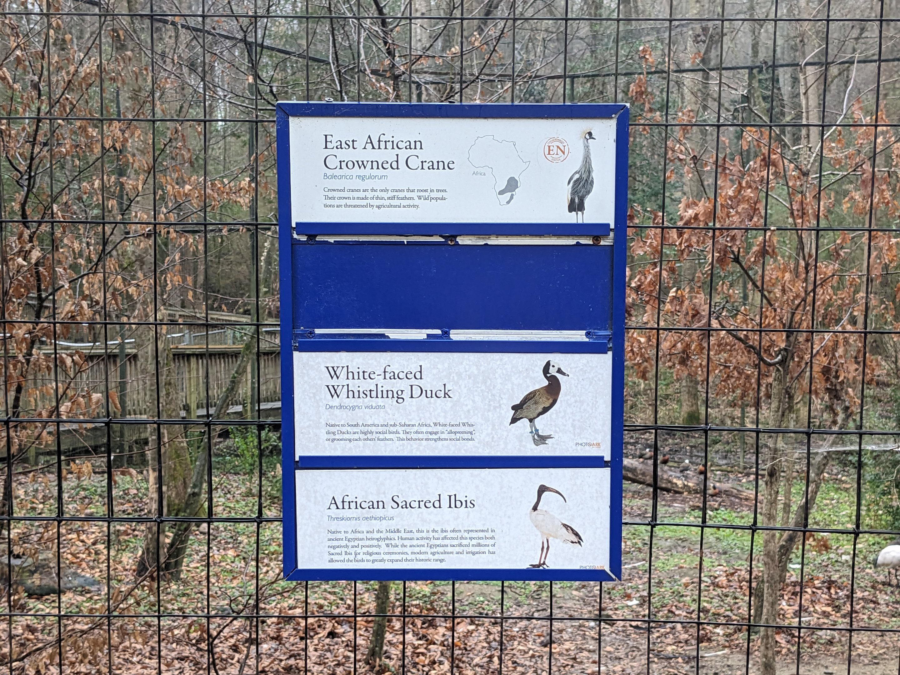 Crowned Crane Aviary - sign