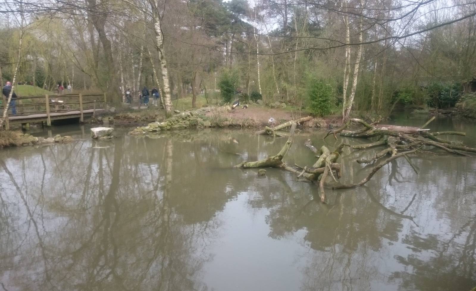 Crowned crane enclosure