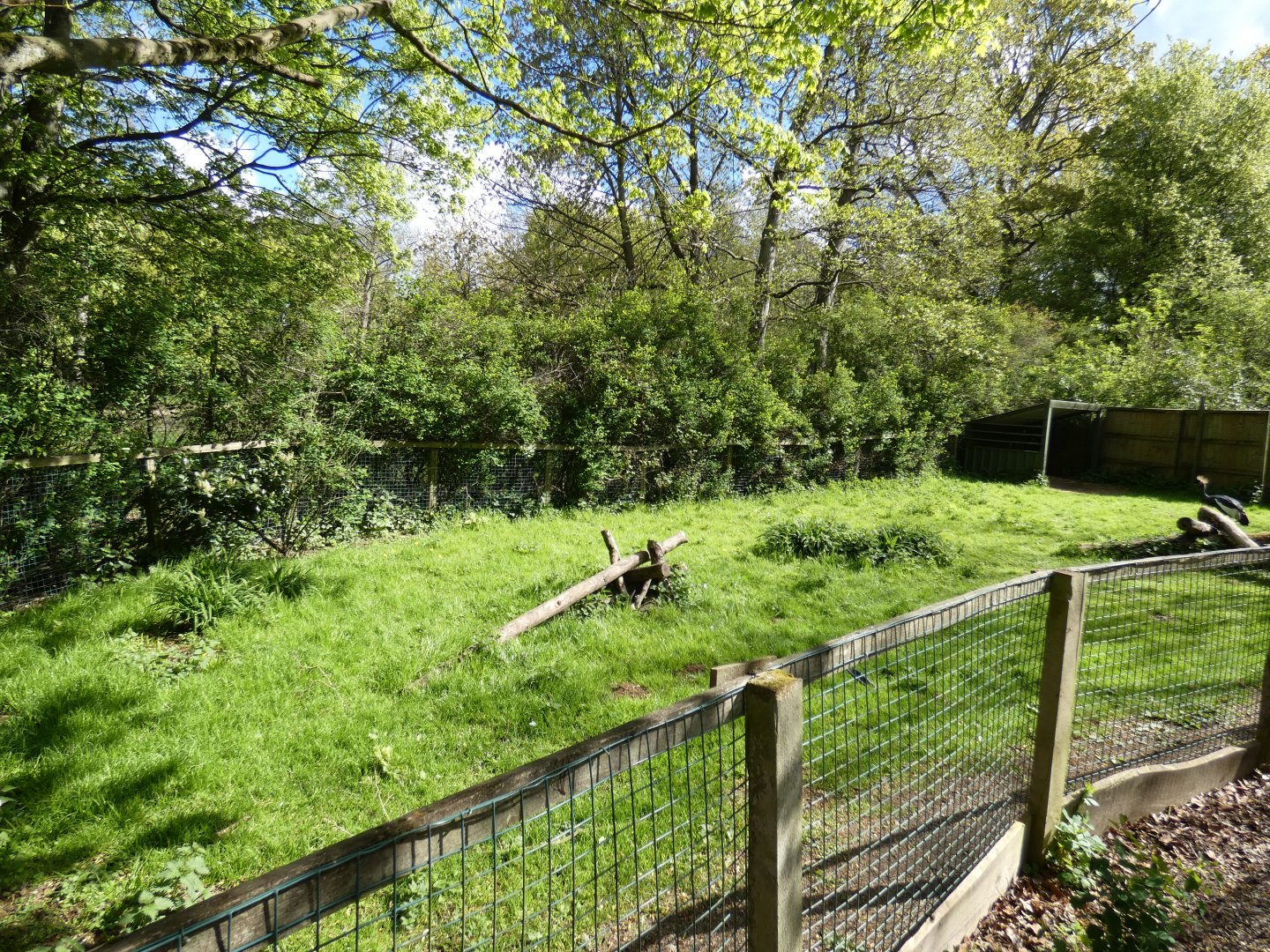 Crowned crane enclosure
