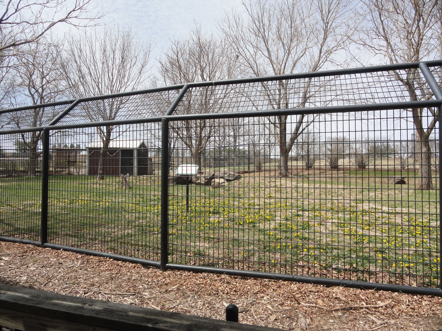 Crowned Crane Exhibit