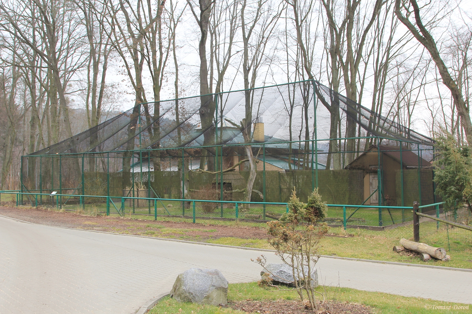 Crowned Cranes aviary