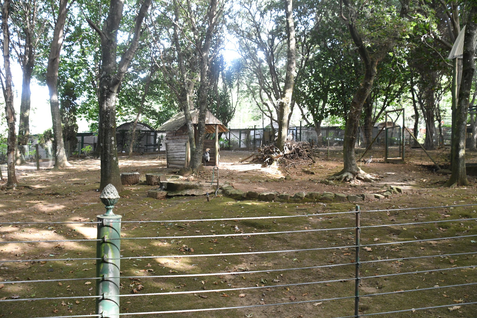 Crowned Cranes/Storks paddock (Zoo Lourosa)