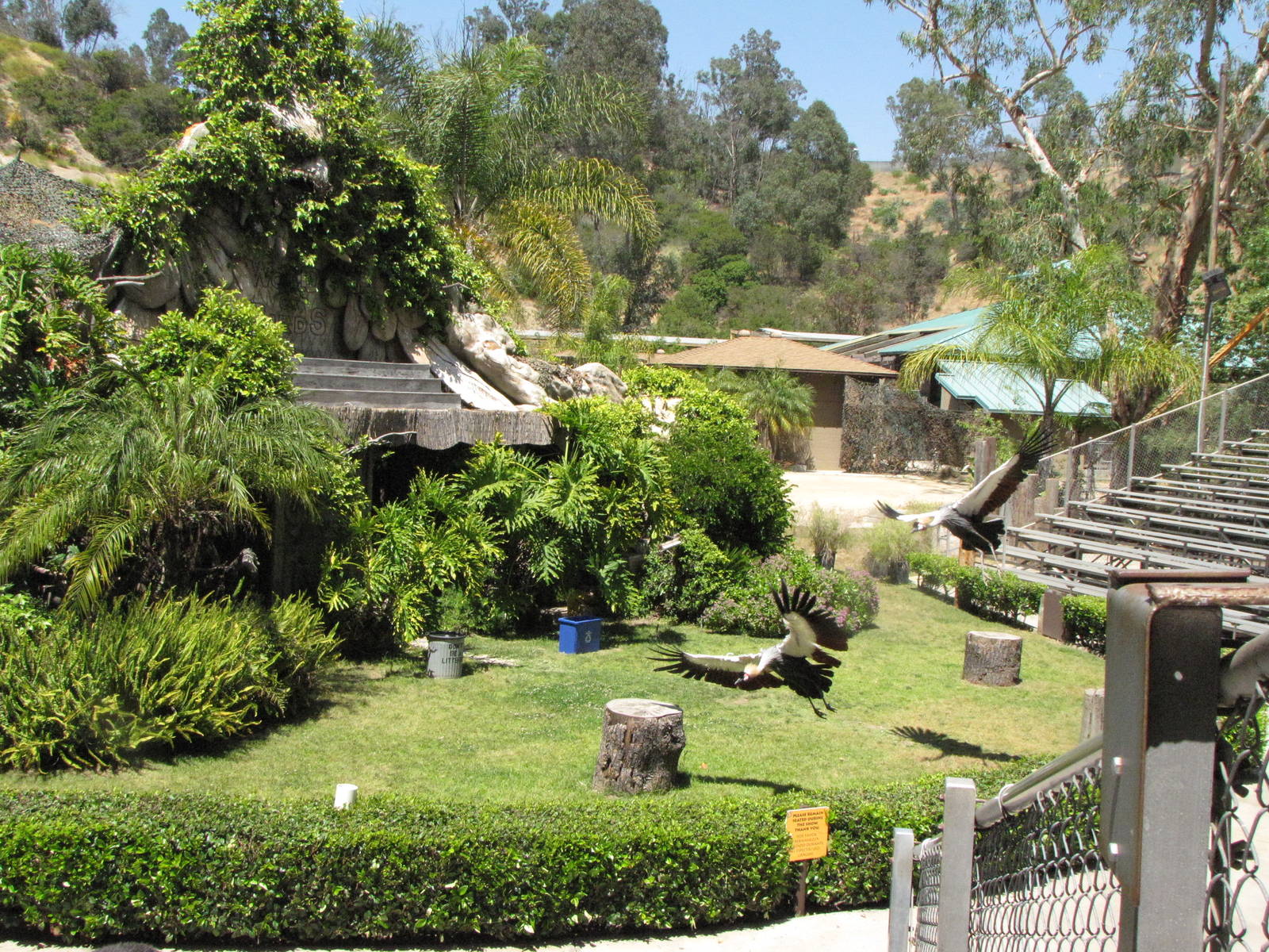 Crowned Cranes - World of Birds Stage