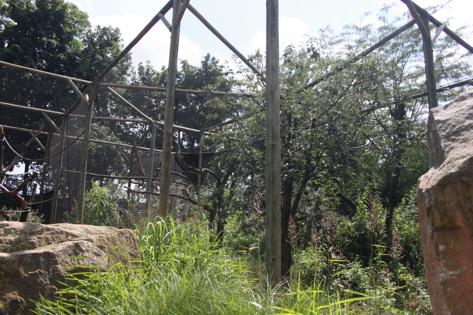 Crowned eagle aviary