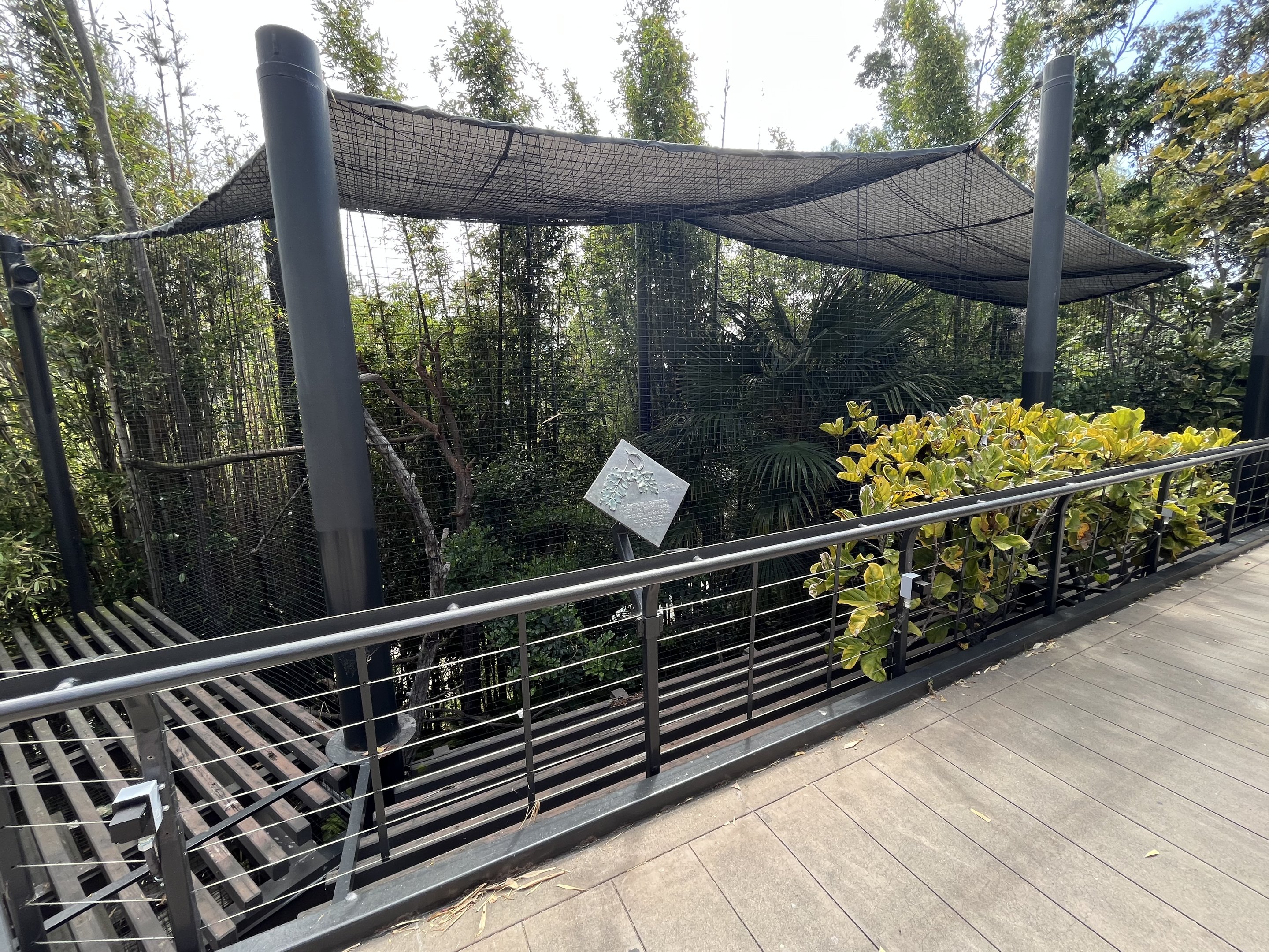 Crowned Eagle Aviary