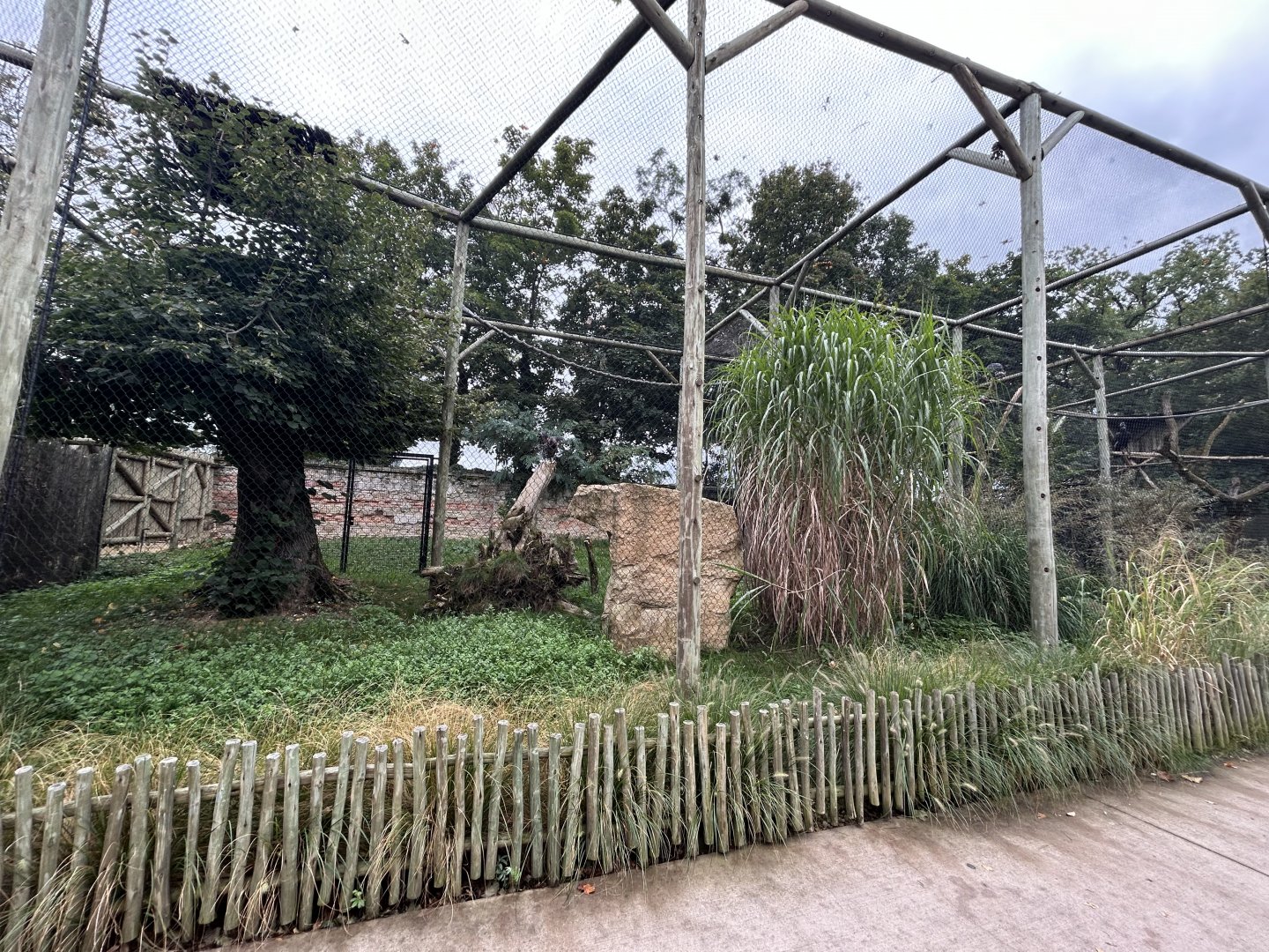 Crowned Eagle Aviary