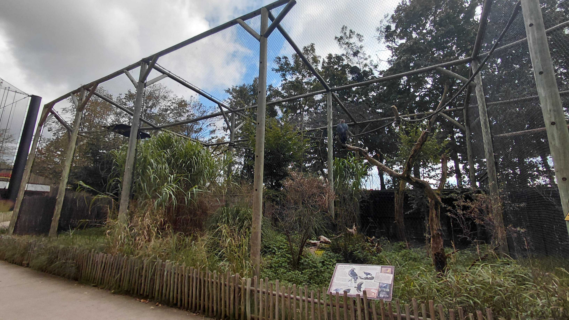Crowned eagle aviary