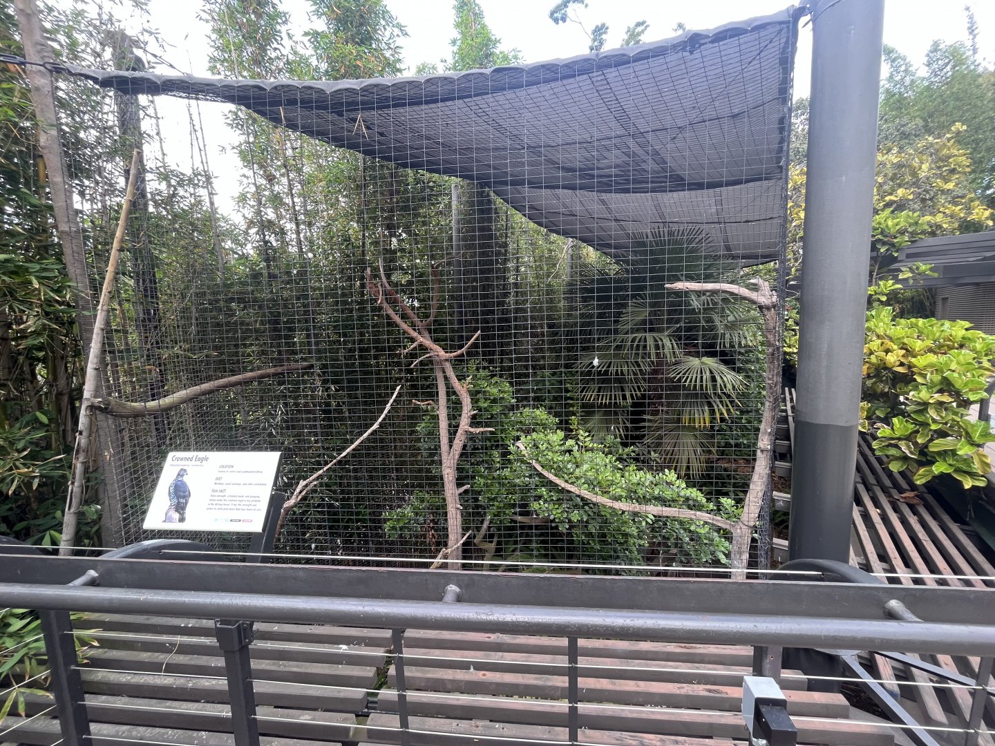 Crowned Eagle Exhibit