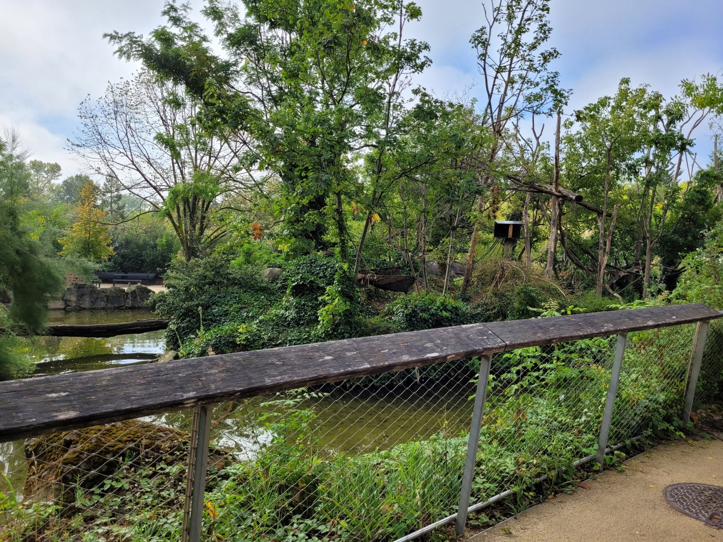 Crowned lemur and Ring-tailed lemur exhibit -Parc Zoologique de Paris (2022)