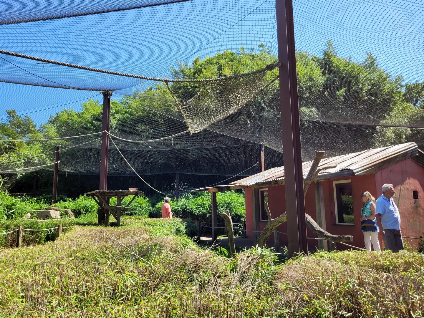 Crowned lemur and Ring-tailed lemur exhibit -Zoo d'Asson (2022)