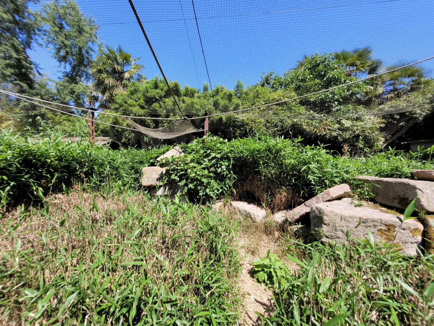 Crowned lemur and Ring-tailed lemur exhibit -Zoo d'Asson (2022)