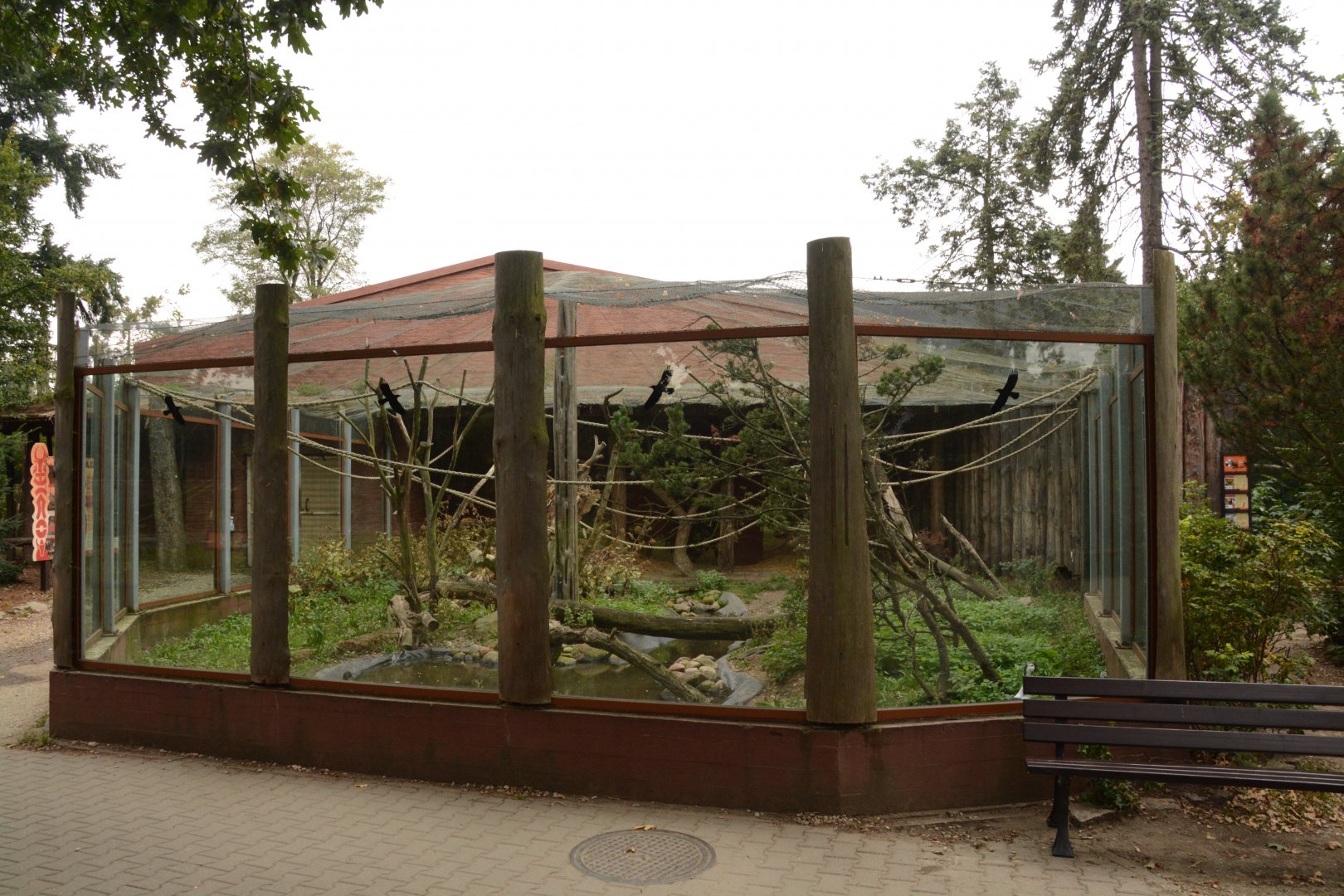 Crowned Lemur enclosure