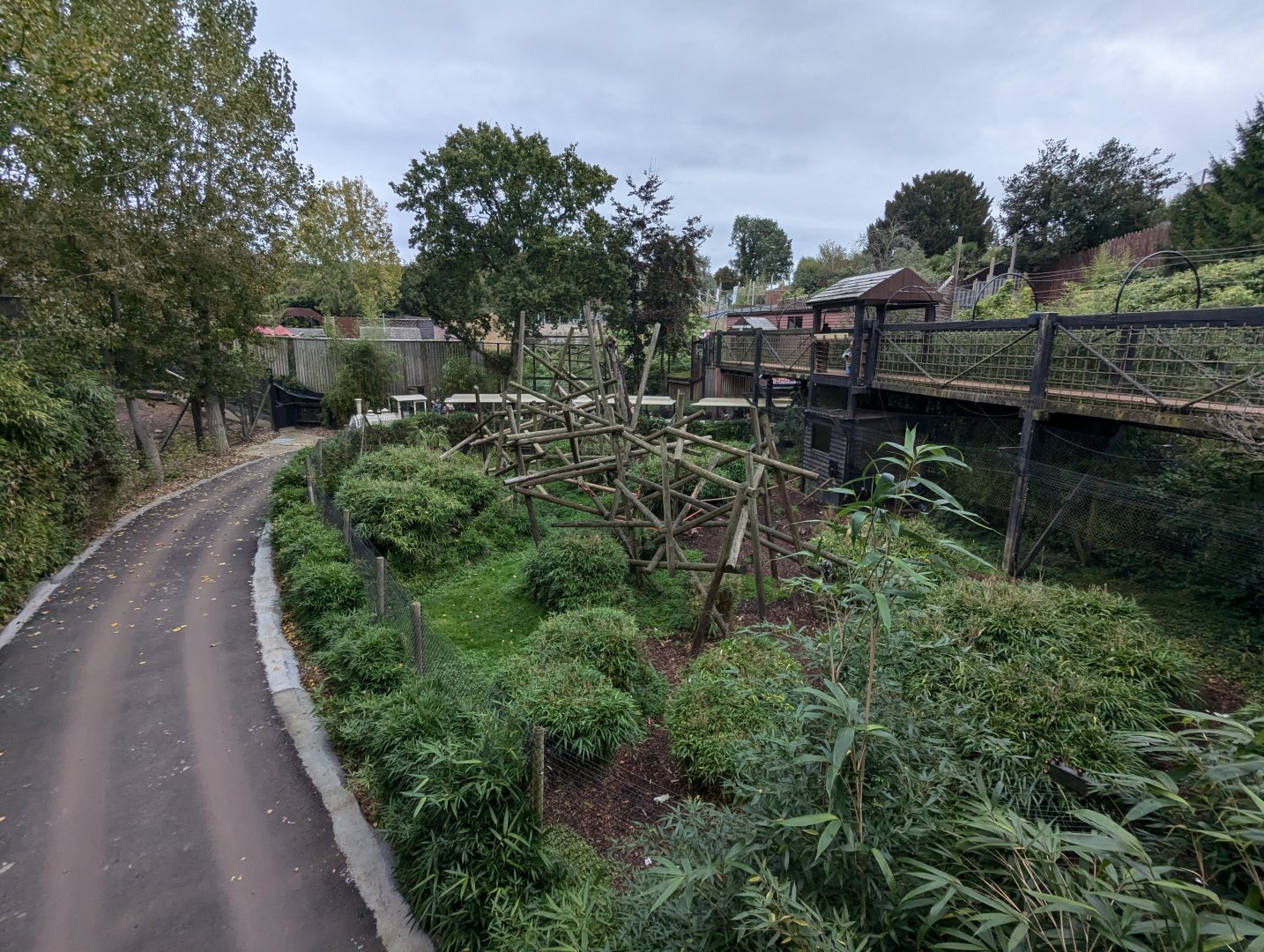 Crowned Lemur Enclosure