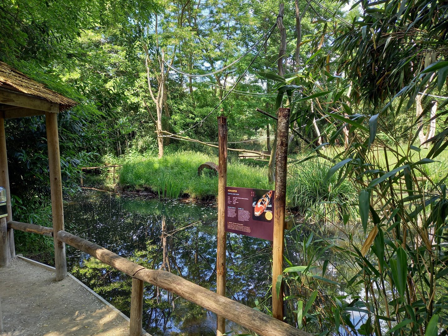 Crowned lemur island