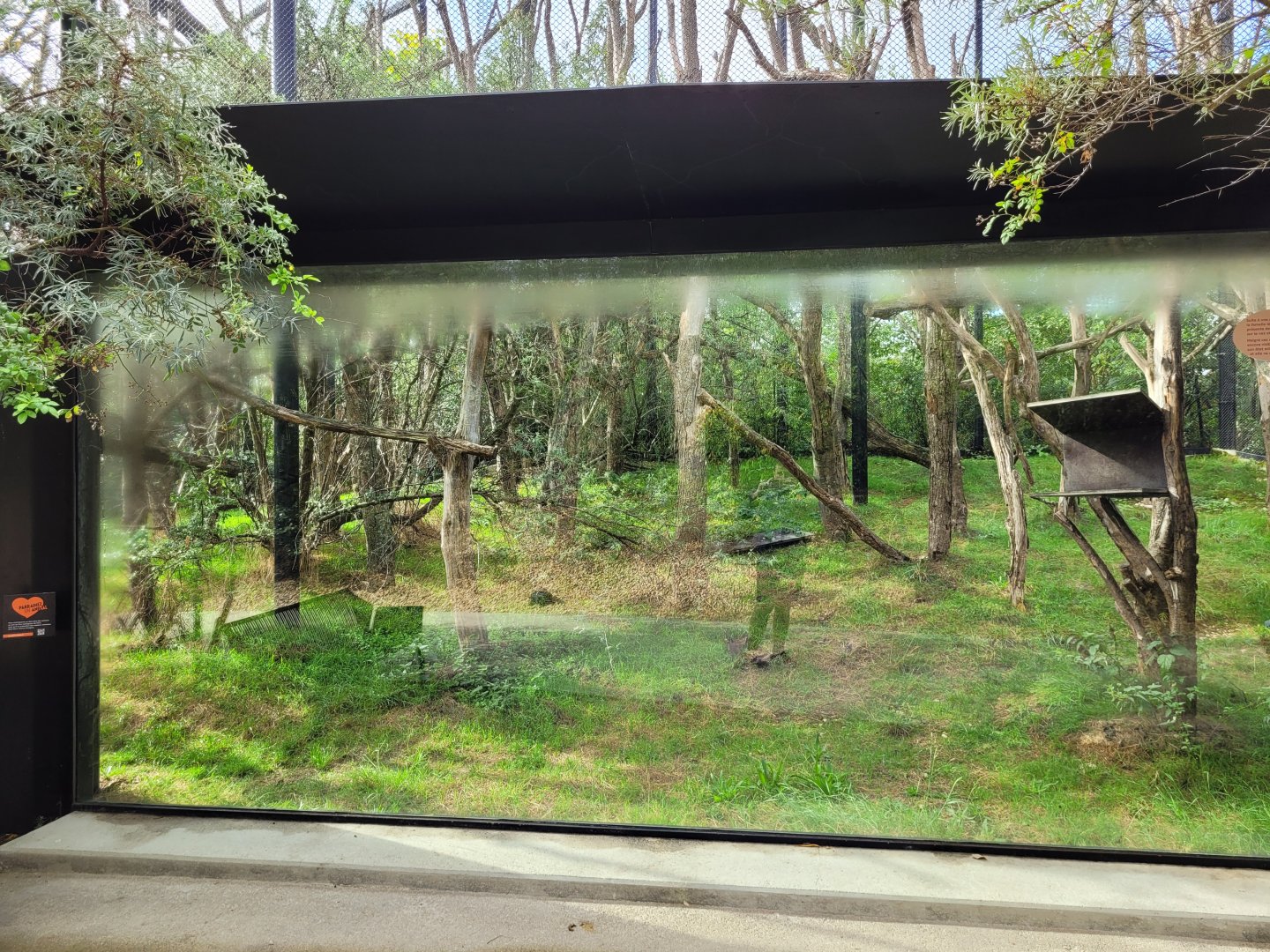 Crowned sifaka and Red-bellied lemur exhibit -Parc Zoologique de Paris (2022)