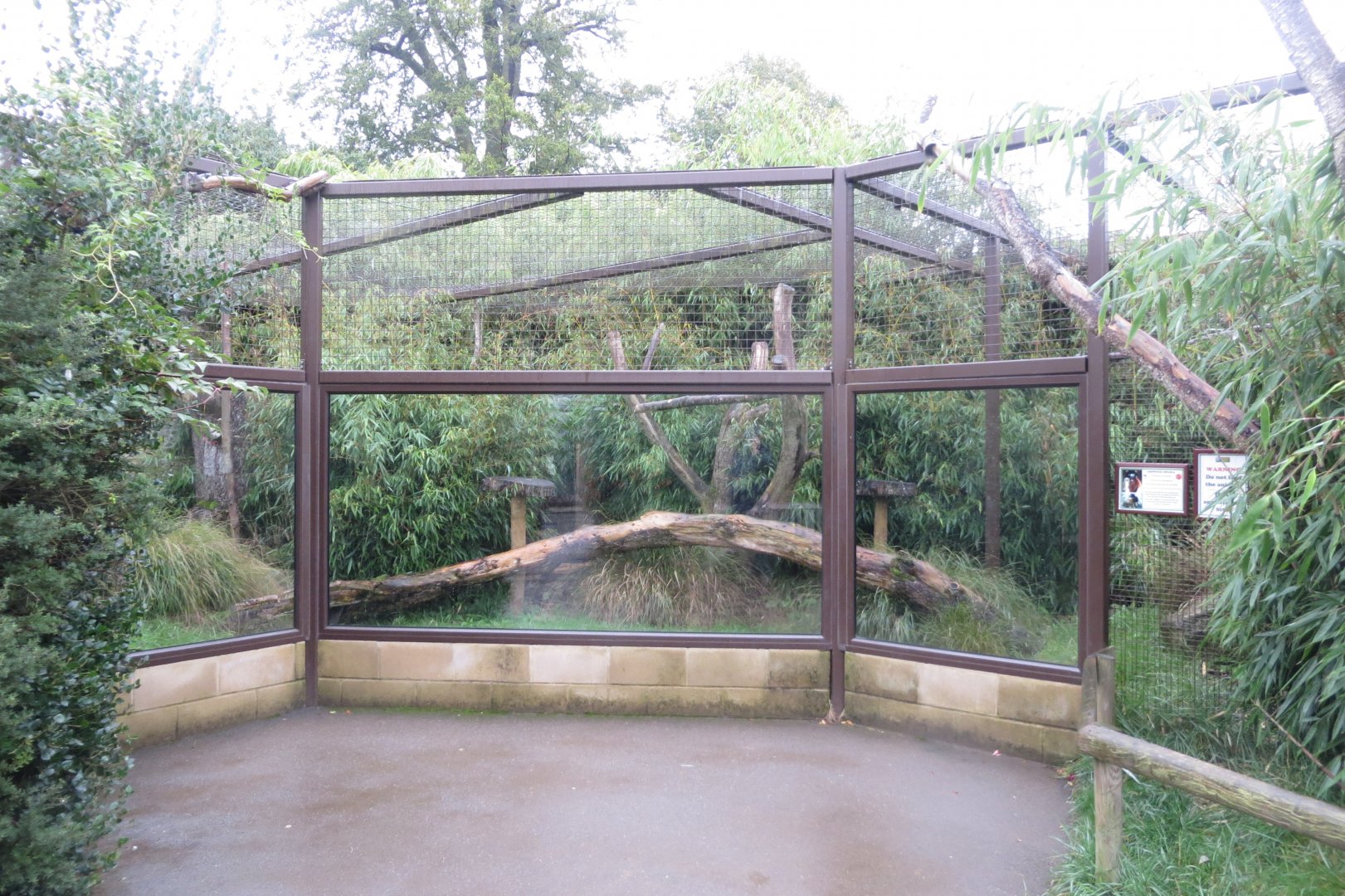 Crowned sifaka enclosure 071019