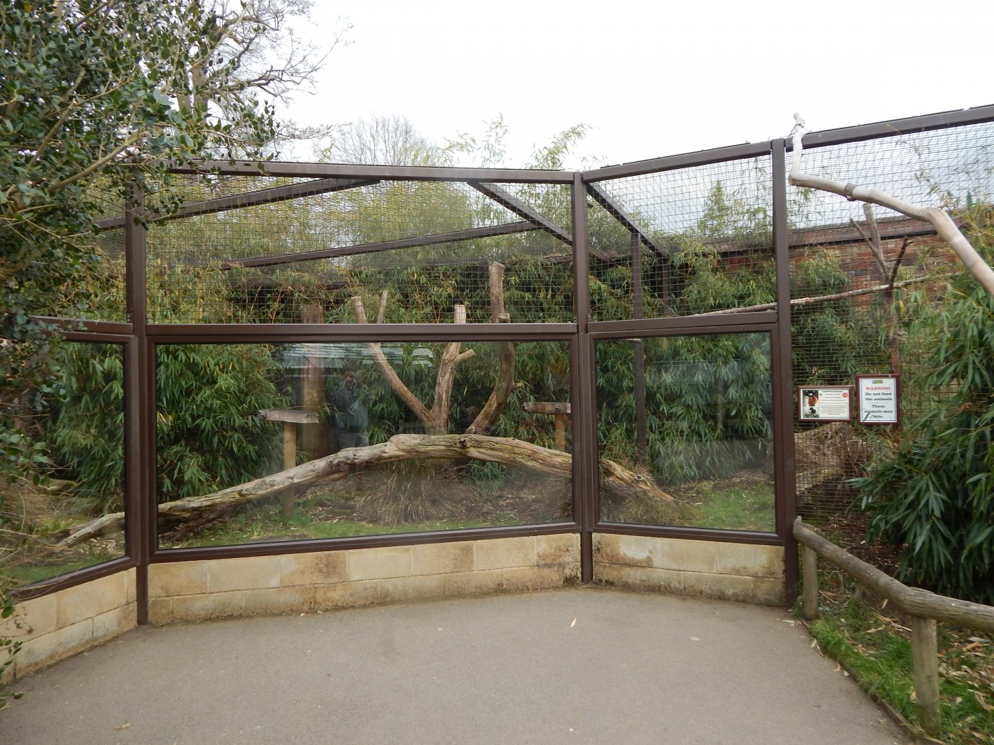 Crowned sifaka enclosure 210421