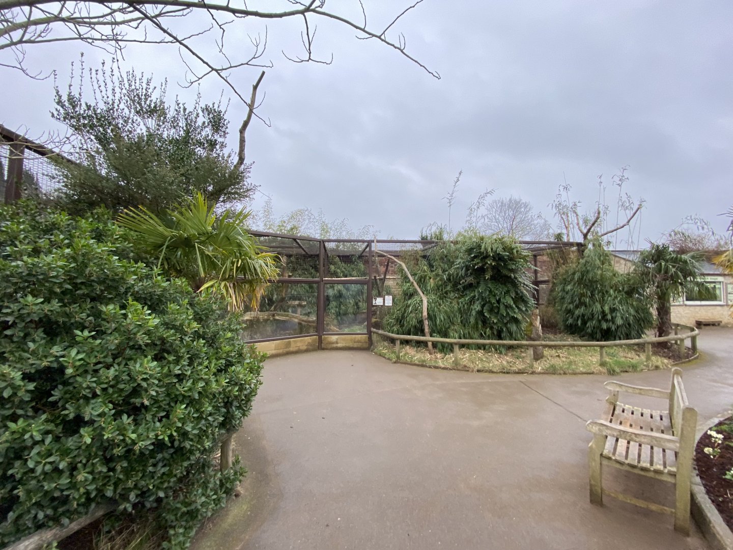 Crowned sifaka enclosure 280222