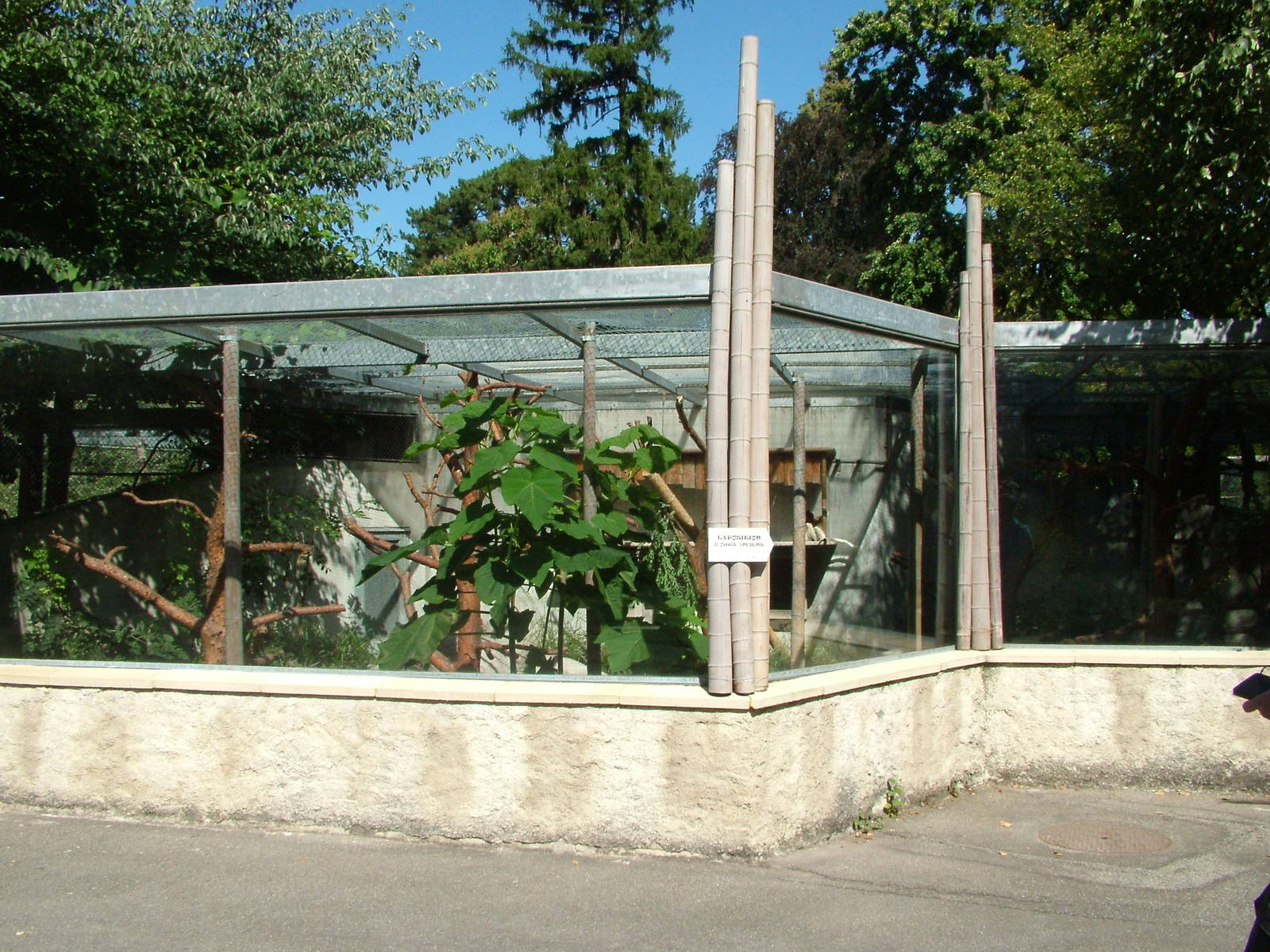 Crowned Sifaka enclosure at Mulhouse 29/08/09