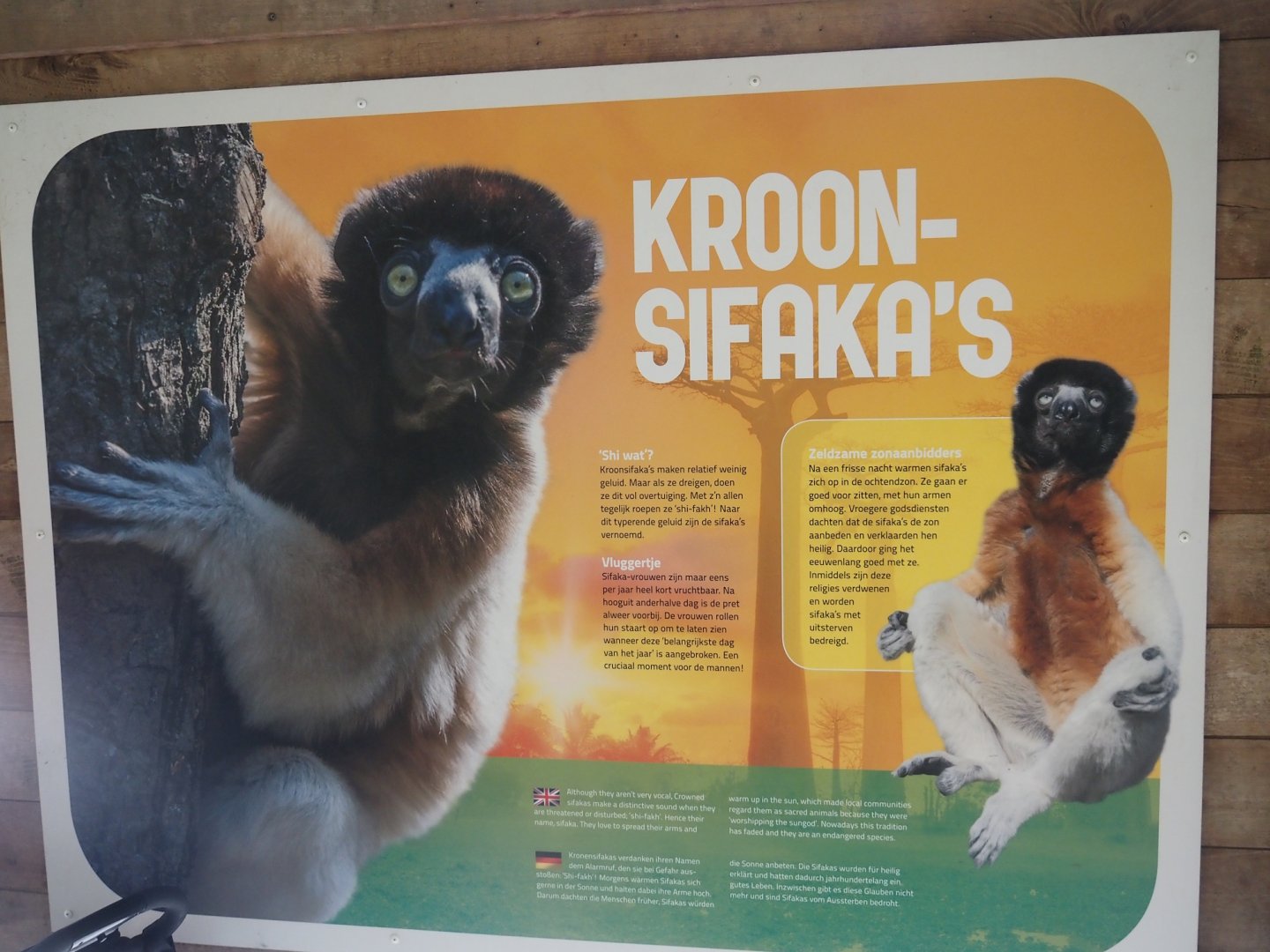 Crowned sifaka signage, 2024-08-18