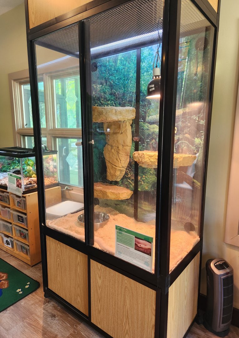 Croydon Creek Nature Center (MD) - Corn Snake exhibit