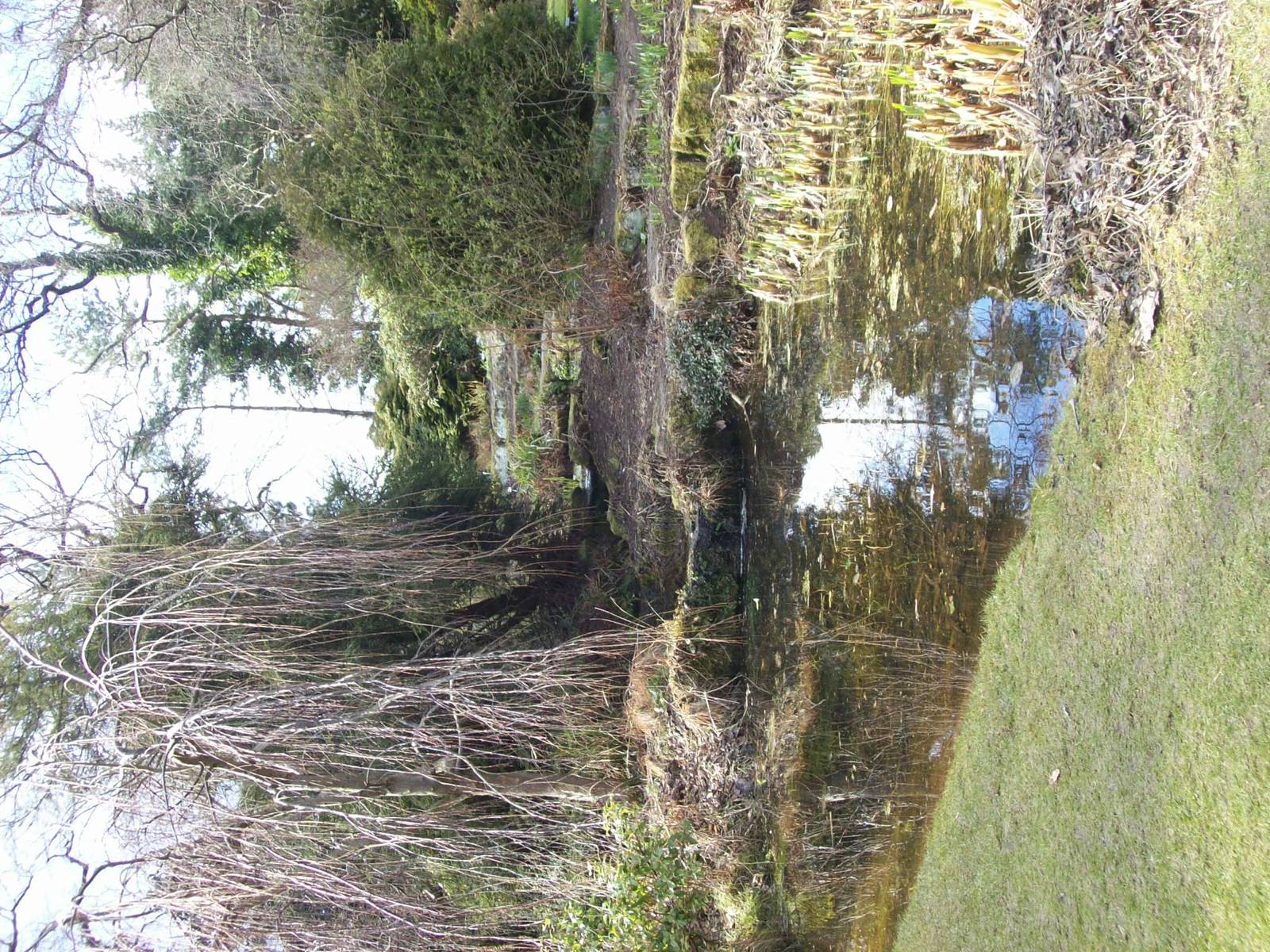 Cruikshank Botanical gardens (Aberdeen zoology building)