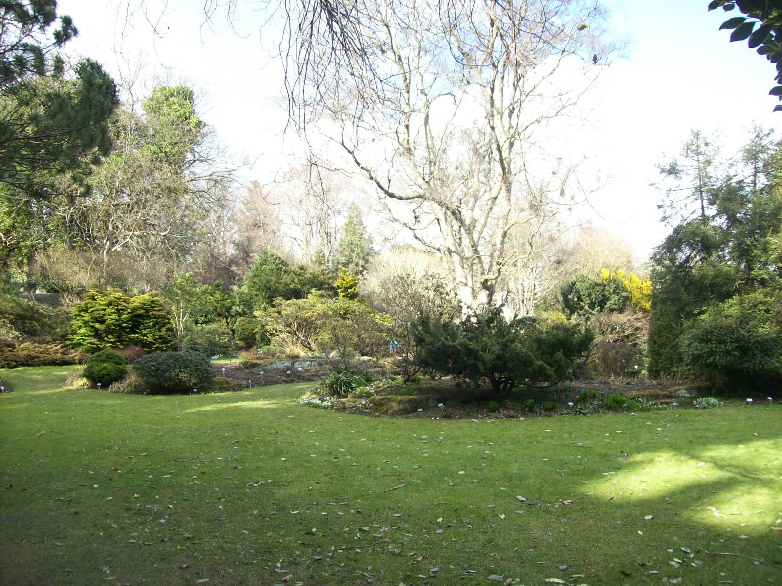 cruikshank botanical gardens (Aberdeen zoology museum)