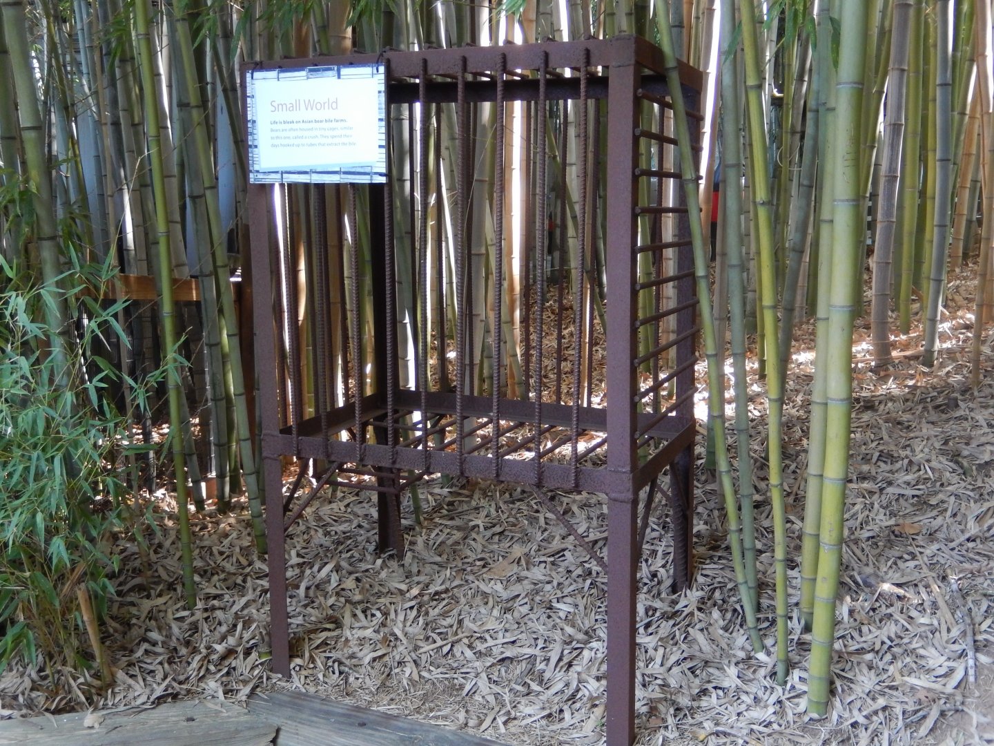 Crush Bear Cage (Ugh!)