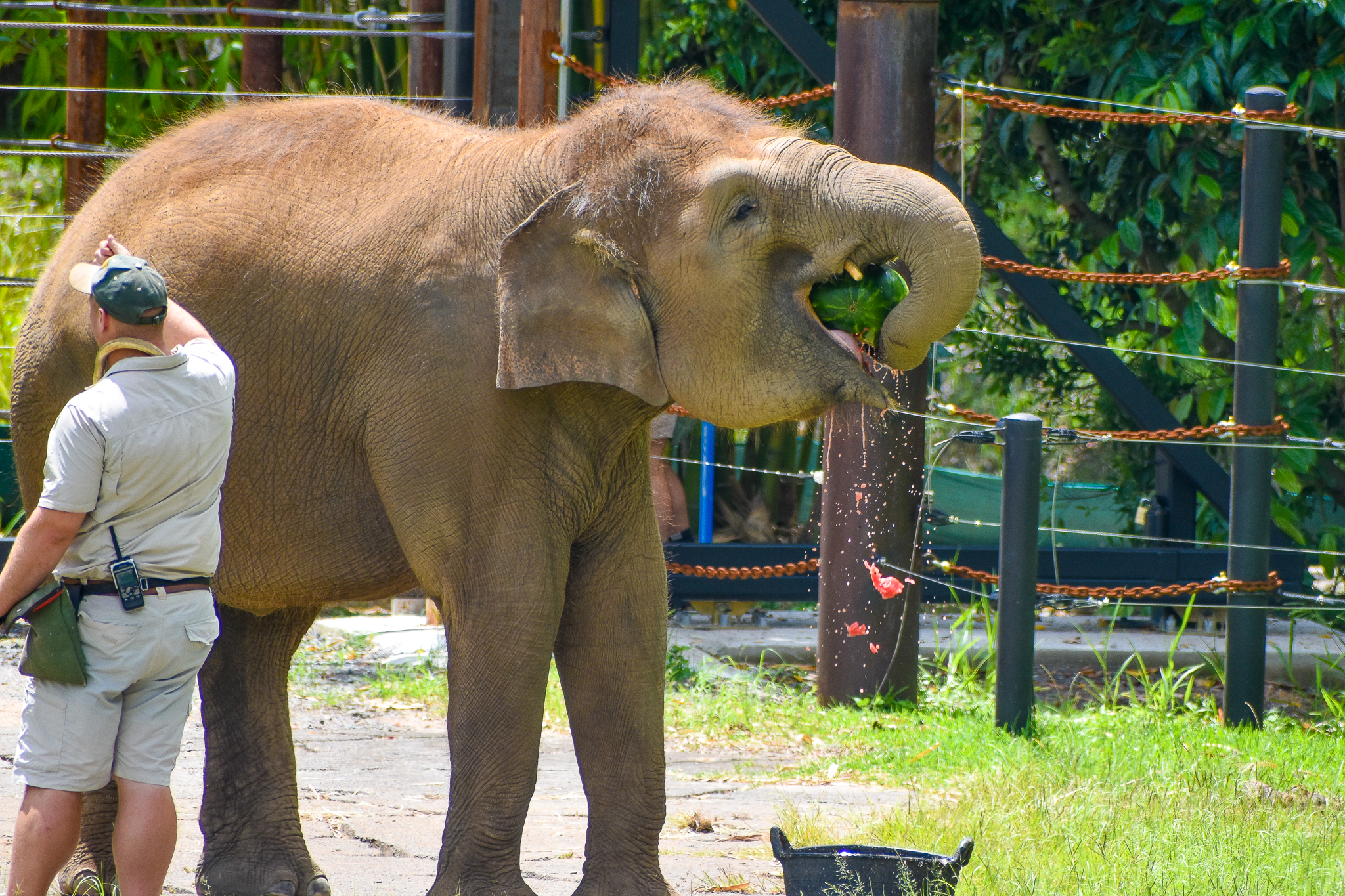 Crushing a Watermelon
