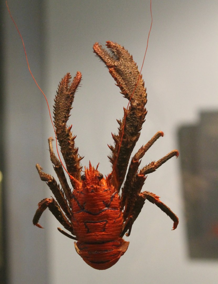 Crustacean