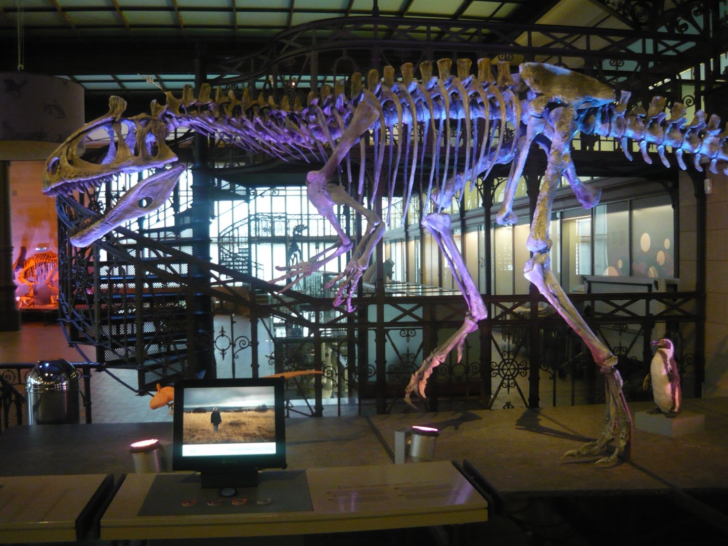 Cryolophosaurus skeleton model