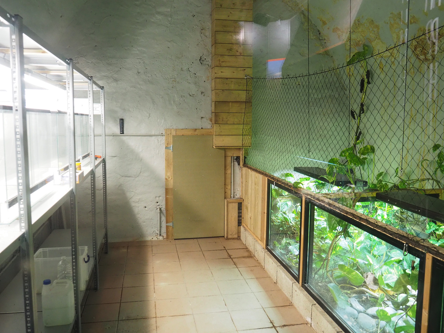 Crypt - Amphibian breeding room, 2022-09-15
